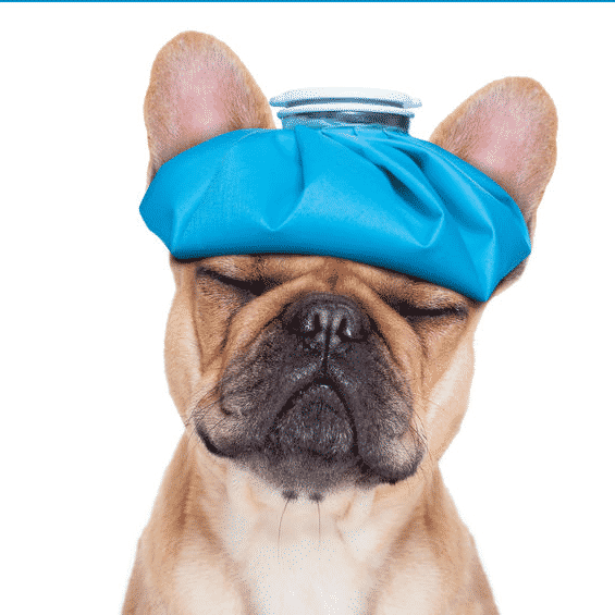 Will the Reed Procedure Migraine Surgery Help a Certain Type of Migraine?