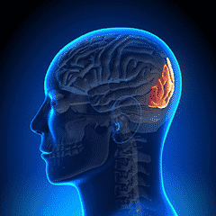What is Occipital Nerve Stimulation?